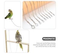 HOOWIFFY Tobillera de Acero Inoxidable para Loros Cadena de Entrenamiento para Pájaros Arnés Ligero y Resistente Accesorio para Mascotas y Entrenamiento al Aire