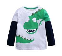 Hooyi - Camiseta de dinosaurio para niños pequeños con paneles de manga larga de algodón con cuello redondo de dibujos animados Dino Bottoming