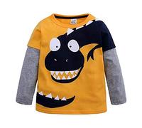 Hooyi - Camiseta de dinosaurio para niños pequeños con paneles de manga larga de algodón con cuello redondo de dibujos animados Dino Bottoming