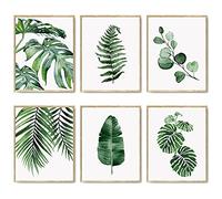 HoozGee Juego de 6 impresiones botánicas para pared, diseño de hojas tropicales, decoración de plantas, hojas bohemias, para decoración de pared, diseño bohemio verde (11 x 14 pulgadas sin marco)
