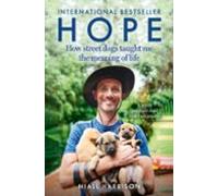 Hope A How Street Dogs Taught Me The Meaning Of Life