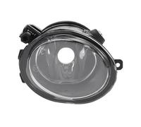 HOPESPANNER Rejilla De Luz Antiniebla Para BMW M5 2001-2006 1 Pc | Claro Negro, ABS, Derecha, 63177894018, Para Bmw E46 M3 M Sport Mtech II, Accesorio De Repuesto, Fácil Instalación