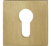 HOPPE 11712120 - Rosetón cilíndrico plano con leva de apoyo, rectangular, acero inoxidable, color latón mate, plata
