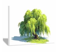 HOQIU Canvas Wall Art Ilustración del sauce llorón verde cuadro decorativo, decoración de pared, Adecuado para dormitorio, sala de estar, baño.（verde-60x80cm Enmarcado