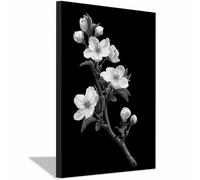 HOQIU Cuadros Blanco Y Negro Modernos, lienzos cuadros Boceto de flores vintage Salon Dormitorio Comedor Oficina Pasillo Cocina Baño（Multicolor-60x80cm Enmarcado