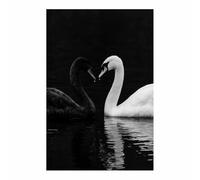 HOQIU Cuadros Blanco Y Negro Modernos, lienzos cuadros Pareja de cisnes blancos negros Salon Dormitorio Comedor Oficina Pasillo Cocina Baño（Multicolor-30x40cm Sin marco