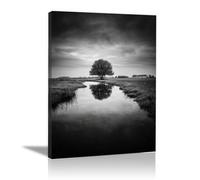 HOQIU Cuadros En Blanco Y Negro, cuadro decorativo Árboles junto al arroyo de la pradera Salon para Dormitorio, Baño（blanco y negro-30x40cm Enmarcado