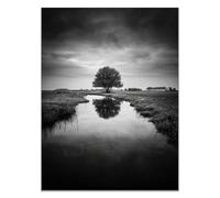 HOQIU Cuadros En Blanco Y Negro, cuadro decorativo Árboles junto al arroyo de la pradera Salon para Dormitorio, Baño（blanco y negro-70x100cm Sin marco