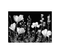 HOQIU lienzos decorativos Bosque Bajo La Luna Llena fotos de paisajes, cuadros y láminas, Sala de Estar Decoración de Dormitorio（Blanco y negro-70x100cm Sin marco