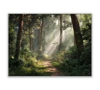 HOQIU Lienzos Decorativos El sol brilla sobre los grandes árboles de la pradera lienzo decorativo para pared, Dormitorio Comedor Decoración(negro-40x60cm Sin marco