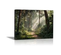 HOQIU Lienzos Decorativos El sol brilla sobre los grandes árboles de la pradera lienzo decorativo para pared, Dormitorio Comedor Decoración(negro-30x40cm Enmarcado