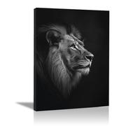 HOQIU lienzos decorativos Pájaros Ardiendo En El Aire cuadros de paisajes naturales, Salón Dormitorio Comedor Oficina（blanco y negro-40x60cm Enmarcado