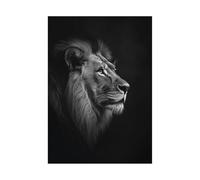 HOQIU lienzos decorativos Pájaros Ardiendo En El Aire cuadros de paisajes naturales, Salón Dormitorio Comedor Oficina（blanco y negro-70x100cm Sin marco