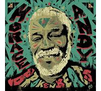 Horace Andy - Broken Beats 1 & 2