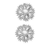HORIALENCE Hebillas de Zapatos Estilo para Mujer, Adornos de Aleación Plata, Fáciles de Quitar, Diseño Elegante para Fiestas y Fotos Calle, 1 Par