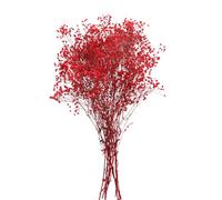 HORIALENCE Ramo de Flores Secas de Gypsophila Preservada en Color Rojo, Decoración Romántica Hogar Que No se Marchita ni Pierde Color, Obsequio Adecuado para Navidad