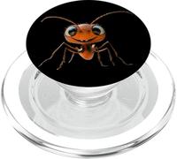 Hormiga Forestal Hormiga de fuego Insecto Pequeñas Hormigas PopSockets PopGrip para MagSafe