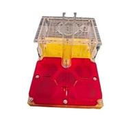 Hormiguero de acrílico, Nido Hormigas, Hormiguero Plano, Castillo , Estudio en casa y la Escuela