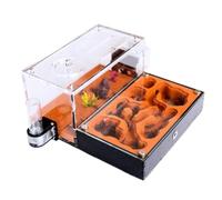 Hormiguero, , , Estudio del Comportamiento de Las Hormigas, , Terrario for , Educativo for