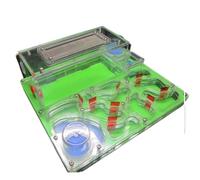 Hormiguero Granja De Hormigas Castillo De Hormigas De Acrílico, Torres De Agua Gemelas, Granja De Nidos De Hormigas, Taller Ecológico, Ciencia Hormiguero para Adulto(Grün)