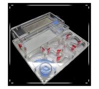 Hormiguero Granja De Hormigas Castillo De Hormigas De Acrílico, Torres De Agua Gemelas, Granja De Nidos De Hormigas, Taller Ecológico, Ciencia Hormiguero para Adulto(White)