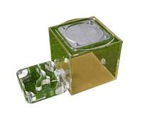 Hormiguero Granja De Hormigas Hábitat De Hormigas Castillo De Hormigas Escuela De Hormigas Investigación Sobre Comportamiento Biológico Nido De Hormigas Granja De Hormigas Hormiguero Para Adulto