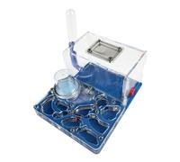 Hormiguero, Kit de observación científica hábitat Granja Hormigas con Castillo acrílico Multicolor 15 cm(Blue)