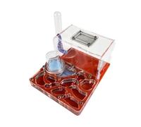 Hormiguero, Kit de observación científica hábitat Granja Hormigas con Castillo acrílico Multicolor 15 cm(Rosso)