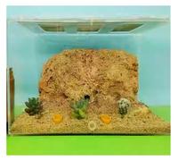 Hormiguero, Nido de Hormigas acrílico for observación científica, tamaño Grande, Transparente