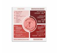 Hormone Cycle Poster Female Body Awareness Print
