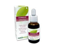 Hornbeam o Carpe blanco (Carpinus betulus) Remedios florales Naturalma - Gotas 30 ml - Extracto líquido sin alcohol - Esencias florales - Vegano y libre de alcohol