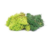 Hornby, Liquen, mezcla verde