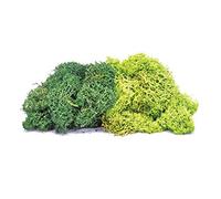 Hornby, Liquen, mezcla verde grande
