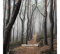 Hornung Trio - Strukturen