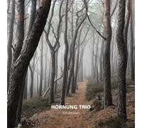 Hornung Trio - Strukturen