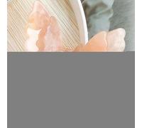 Horquillas Pequeñas Para el - Pinzas Garra Animales Cabello Grueso | Pinzas Antideslizantes Cómodas Para Uso Diario Vacaciones Playa Fiesta Boda