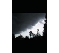 Hors controle/ Roman noir