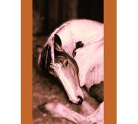 Horse and Pony Journal: Ideal for keeping a record of your riding inspiration, activities and achievements