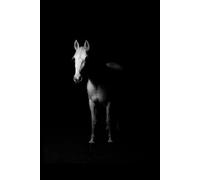 Horse - Animals Of The World: Animals grid notebook for children, teenagers and adults for drawing, counting and writing (black and white cover, 110 pages, grid, 6x9), (Animals of the Word)