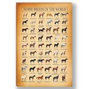 Horse Breed Illustrated Wall Chart - Vintage Encyclopedia Style Canvas Art for Bathroom, Dining Room, Hallway & Country Home Decor(Unframed,08x12inch(20x30cm))