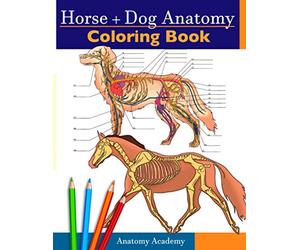 Horse + Dog Anatomy Coloring Book: 2-in-1 Compilation | Incredibly Detailed Self-Test Equine & Canine Anatomy Color workbook | Perfect Gift for Veterinary Students, Animal Lovers & Adults