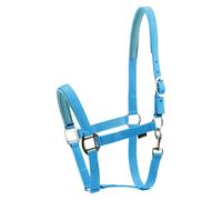 Horse Guard Cabestro de Nylon para Caballos - Turquesa - Sangre Fría Cabestrillo