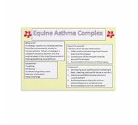 Horse Wellness Knowledge Poster, Supporting Healthy Breathing Educational Print for Ranch, Stable Decor(Framed,16x24inch(40x60cm))