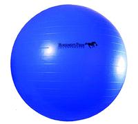 Horsemen's Pride HMP0150 Jolly Mega Ball, Transparente, 76,2 cm