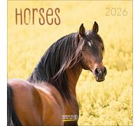 Horses 2026: Broschürenkalender mit Ferienterminen. Pferde und Ponys. 30 x 30 cm