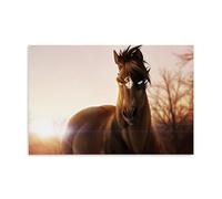 Horse's Sparkling Eyes Living Room Wall Art 16x24inch (40x60cm)