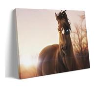 Horse's Sparkling Eyes Living Room Wall Art 24x36inch (60x90cm)