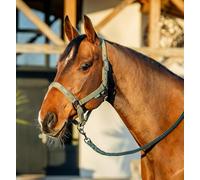 Horseware Amigo® - Juego de cabestro y cuerda de plomo Irlanda