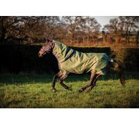 Horseware Ireland Amigo Hero Ripstop Plus Turnout Rug 100g, Bramble/Winterberry - 140 cm Horseware Ireland