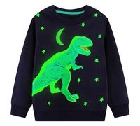 Hoseay Sudaderas Niño Algodón Dinosaurio Dibujos Pullover Cuello Redondo Manga Larga Camiseta Niños Sin-Capucha Sweatshirt Casual Deporte Jersey Infantil Ropa para 5-6 Años, Azul Marino